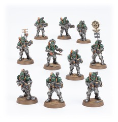 Solar Auxilia Veletaris Storm Section